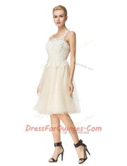 Luxury Scoop Champagne Zipper Prom Dress Beading Sleeveless Knee Length