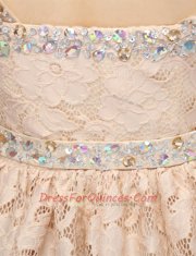 Champagne Empire Lace Sweetheart Sleeveless Lace Mini Length Side Zipper Prom Gown