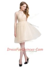 Perfect A-line Champagne Bateau Tulle Sleeveless Knee Length Clasp Handle