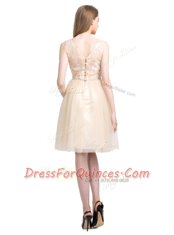 Perfect A-line Champagne Bateau Tulle Sleeveless Knee Length Clasp Handle