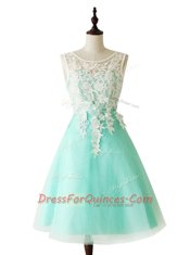 Scoop Sleeveless Zipper Prom Dresses Apple Green Organza
