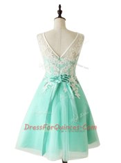 Scoop Sleeveless Zipper Prom Dresses Apple Green Organza