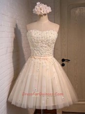 Sleeveless Mini Length Appliques Lace Up Prom Gown with Champagne