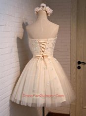 Sleeveless Mini Length Appliques Lace Up Prom Gown with Champagne