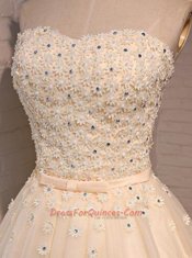 Sleeveless Mini Length Appliques Lace Up Prom Gown with Champagne