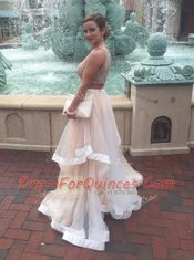 Discount Scoop Sleeveless Zipper Floor Length Beading Prom Dress