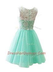 Scoop Sleeveless Lace Clasp Handle Evening Dress