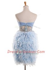 Light Blue Sleeveless Chiffon Zipper Prom Dress