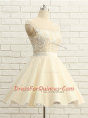 Attractive Scoop Champagne Cap Sleeves Organza Zipper Evening Dress for Prom