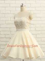 Attractive Scoop Champagne Cap Sleeves Organza Zipper Evening Dress for Prom