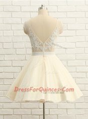 Attractive Scoop Champagne Cap Sleeves Organza Zipper Evening Dress for Prom