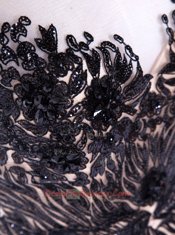 Affordable Mermaid Scoop Black Tulle Backless Evening Dress Cap Sleeves Brush Train Appliques