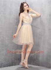 Scoop Champagne Sleeveless Tulle Zipper Homecoming Dress for Prom