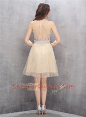 Scoop Champagne Sleeveless Tulle Zipper Homecoming Dress for Prom