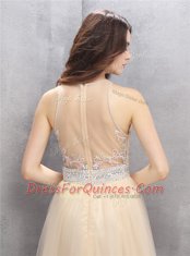 Scoop Champagne Sleeveless Tulle Zipper Homecoming Dress for Prom