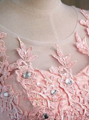 Customized Scoop Lace Pink Sleeveless Appliques Mini Length Prom Evening Gown