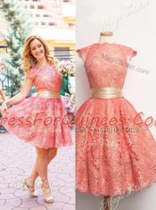 Scoop Watermelon Red Cap Sleeves Lace Knee Length