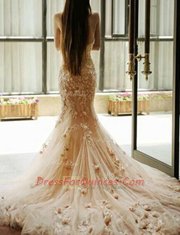 Mermaid Baby Pink Sleeveless Tulle Chapel Train Zipper Homecoming Dress for Prom and Party