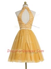 Fantastic Gold High-neck Neckline Beading Prom Evening Gown Sleeveless Zipper