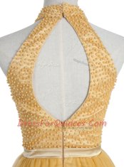 Fantastic Gold High-neck Neckline Beading Prom Evening Gown Sleeveless Zipper