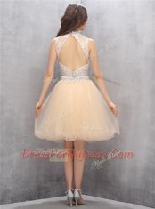 Sleeveless Zipper Knee Length Beading and Embroidery Prom Dresses