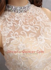 Sleeveless Zipper Knee Length Beading and Embroidery Prom Dresses