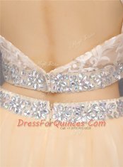 Sleeveless Zipper Knee Length Beading and Embroidery Prom Dresses