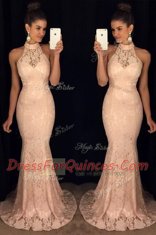 Smart Mermaid Baby Pink Halter Top Neckline Lace Dress for Prom Sleeveless Backless