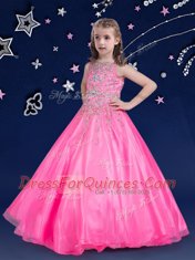 Delicate Scoop Sleeveless Zipper Little Girls Pageant Gowns Hot Pink Organza