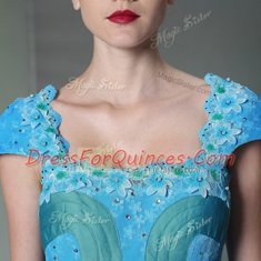 Baby Blue Printed Zipper Sleeveless Floor Length Appliques and Pattern