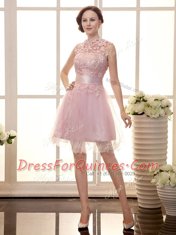 Mini Length Baby Pink Evening Dress High-neck Sleeveless Zipper