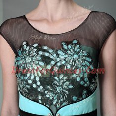 Charming Scoop Teal Zipper Prom Dresses Appliques Sleeveless Floor Length