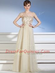 Champagne Bateau Side Zipper Appliques Evening Dress Sleeveless