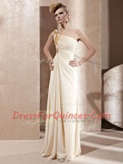 Delicate One Shoulder Champagne Sleeveless Chiffon Side Zipper Prom Gown for Prom and Party