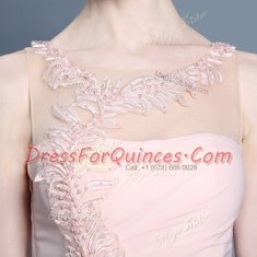 Dramatic Baby Pink Column/Sheath Appliques Prom Party Dress Side Zipper Chiffon Sleeveless Ankle Length