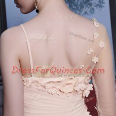 Comfortable Baby Pink One Shoulder Neckline Appliques and Ruching Evening Dress Long Sleeves Side Zipper