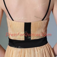 Chiffon Square Sleeveless Zipper Appliques Prom Dresses in Peach