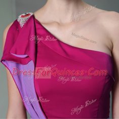 Fitting One Shoulder Sleeveless Side Zipper Prom Evening Gown Burgundy Chiffon