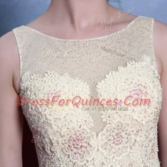 Gorgeous Scoop White Chiffon Side Zipper Prom Party Dress Sleeveless Floor Length Beading and Appliques