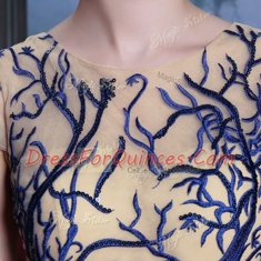 Scoop Royal Blue Column/Sheath Embroidery and Sequins Evening Dress Zipper Chiffon Cap Sleeves Floor Length