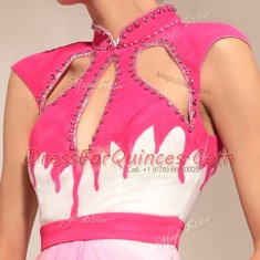 Vintage Hot Pink Chiffon Zipper High-neck Sleeveless Floor Length Beading