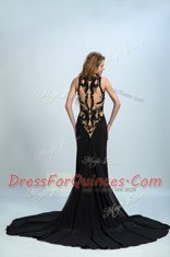 Fitting Black Zipper Halter Top Lace Prom Dresses Organza Sleeveless Brush Train