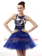 Scoop Appliques Royal Blue Clasp Handle Sleeveless Knee Length