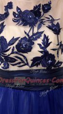 Scoop Appliques Royal Blue Clasp Handle Sleeveless Knee Length