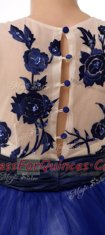 Scoop Appliques Royal Blue Clasp Handle Sleeveless Knee Length