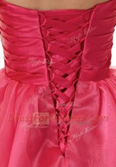 Knee Length Hot Pink Strapless Sleeveless Lace Up