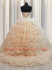 Traditional Sleeveless Brush Train Lace Up Beading Quinceanera Dress