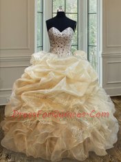 Floor Length Ball Gowns Sleeveless Champagne Quinceanera Gowns Lace Up