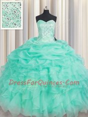 Apple Green Ball Gowns Beading and Ruffles and Pick Ups 15 Quinceanera Dress Lace Up Organza Sleeveless Floor Length