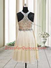 Affordable Column/Sheath Dress for Prom Champagne Straps Chiffon Sleeveless Knee Length Side Zipper